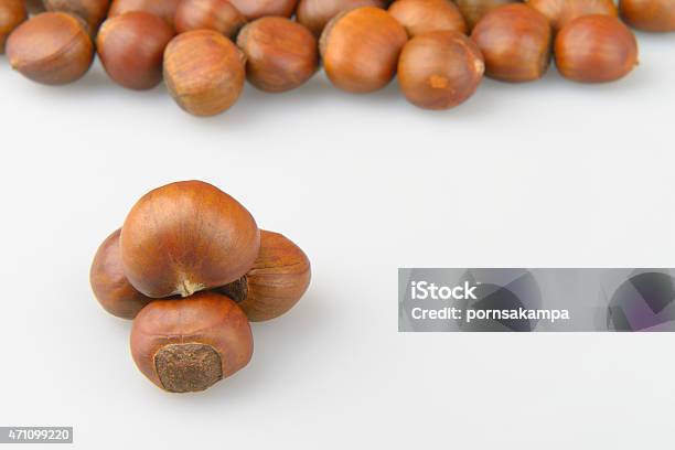 Chestnut Stock Photo - Download Image Now - 2015, Autumn, Bright
