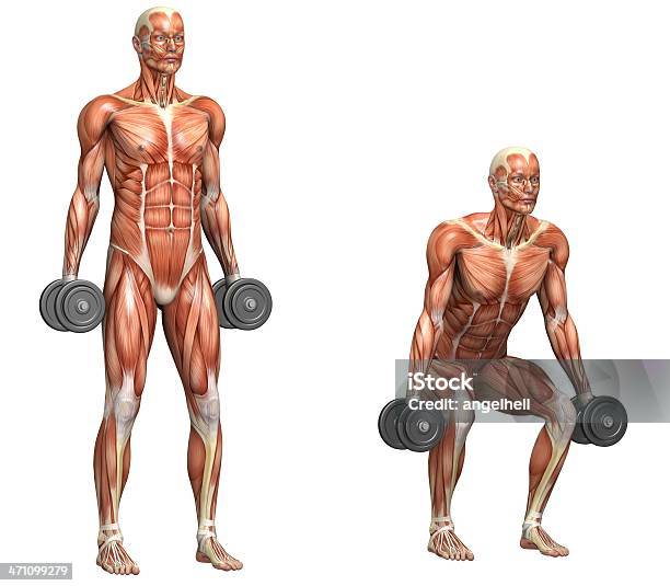 Seria Ćwiczeń Rund Przysiadów - zdjęcia stockowe i więcej obrazów Anatomia człowieka - Anatomia człowieka, Badanie lekarskie, Bez koszulki