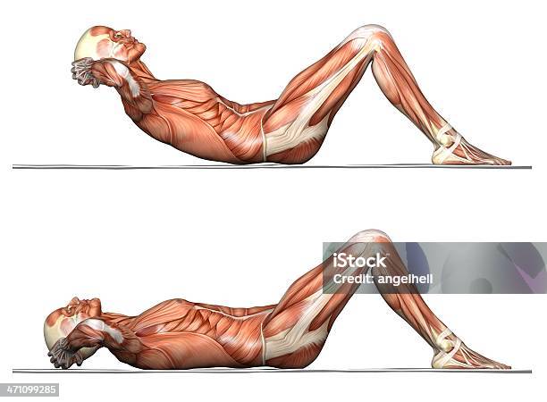 Reihe Von Übungen Situps Stockfoto und mehr Bilder von Brustbereich - Brustbereich, Entspannungsübung, Fitnesstraining