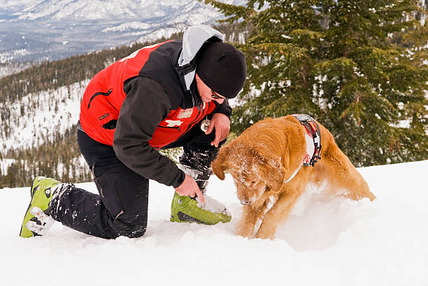 rescue dog training - snow digging horizontal people stock-fotos und bilder