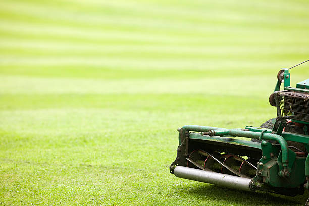 istock Lawnmower and lawn. 471099693