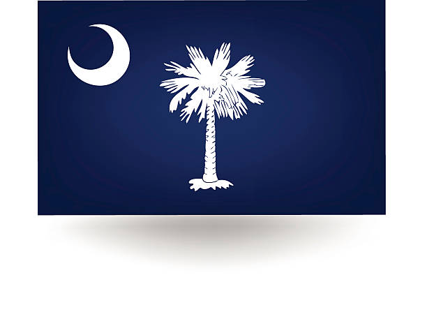 ilustraciones, imágenes clip art, dibujos animados e iconos de stock de bandera del estado de carolina del sur - south carolina flag interface icons symbol