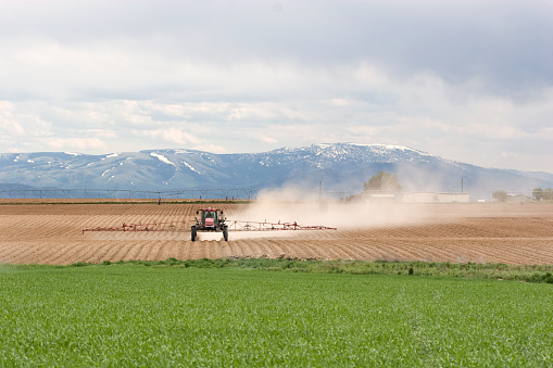 Sprayer treating a field.