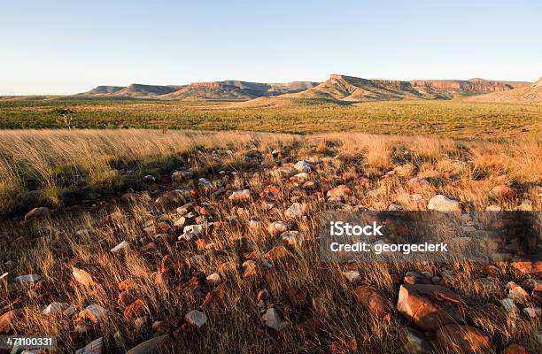 Photo libre de droit de Kimberley En Soirée banque d'images et plus d'images libres de droit de Australie occidentale - Australie occidentale, Australie, Bush australien