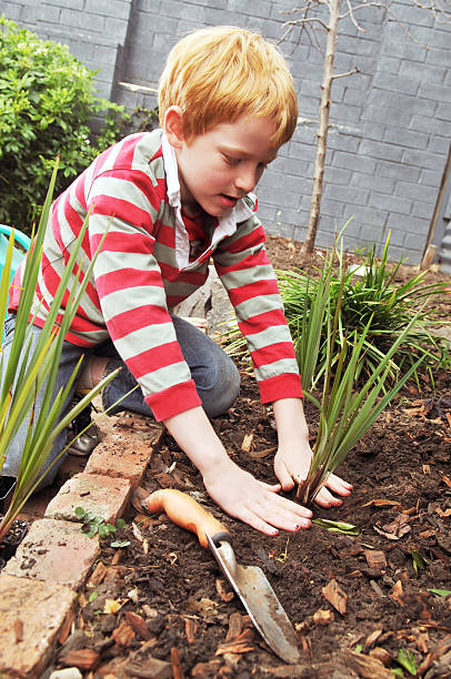 istock Helping out in the garden 471100551