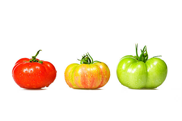 color tomatoes Studio Shot green tomato on white stock pictures, royalty-free photos & images