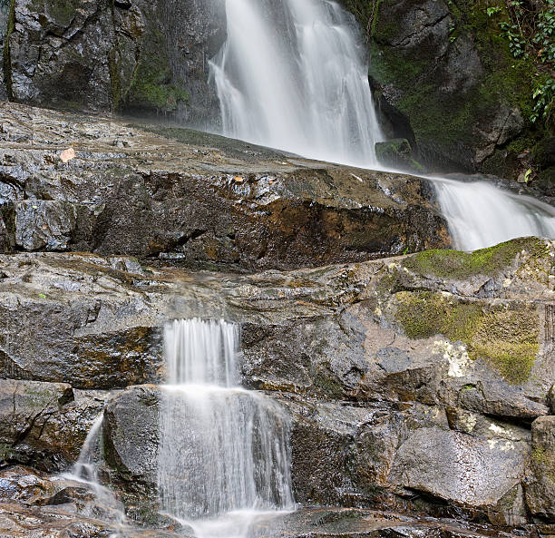 laurel falls serie - gatlinburg waterfall appalachian mountains laurel falls fotografías e imágenes de stock