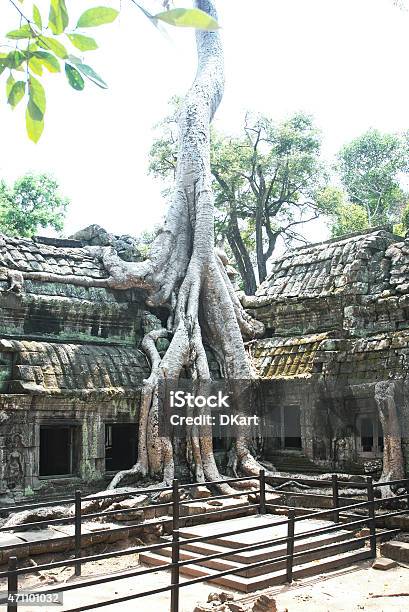 Ta Prohm Angkor Wat Stock Photo - Download Image Now - 2015, Ancient, Ancient Civilization