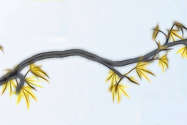 Branch with characteristic young maple leaves on a snake-bark maple tree. Abstract style, leaving space for text. This image is a photograph, of which the EXIF details are intact and can be read.
