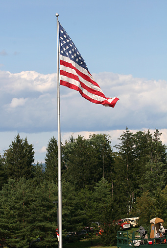 Low angle view of an American flag, flapping in the wind near evergreen trees in the pacific northwest