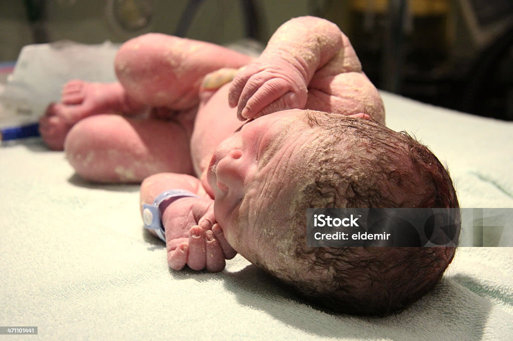 Sam newborn babyin Inkubator - Zbiór zdjęć royalty-free (Narodziny)