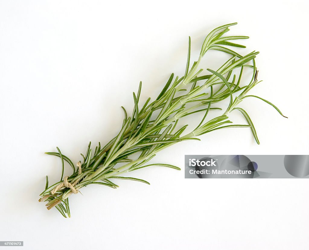 Erbe aromatiche fresche: Casco di rosmarino (Rosmarinus officinalis) su bianco - Foto stock royalty-free di Alimentazione sana