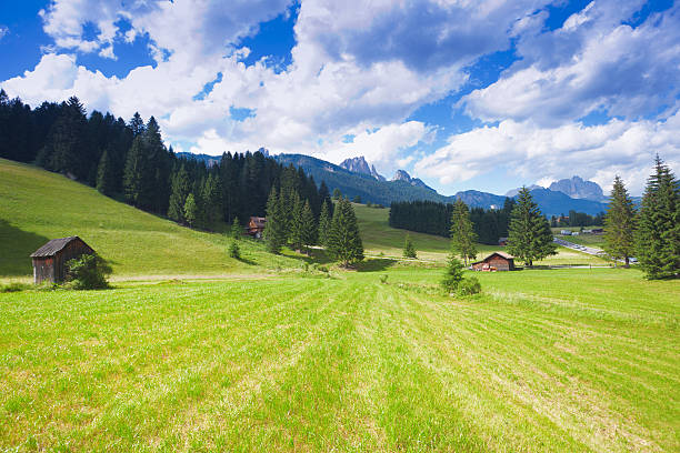 val di fiemme altopiano - alpine upland foto e immagini stock