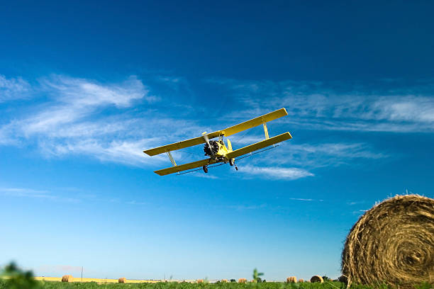 バイプレーン上の干し草フィールド - airplane stunt yellow flying ストックフォトと画像