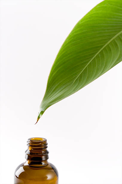 A fresh tropical leaf with a drop of water above a glass bottle.
