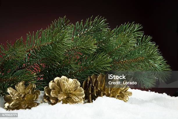 Christmas Tree Branch Stock Photo - Download Image Now - Backgrounds, Celebration, Celebration Event