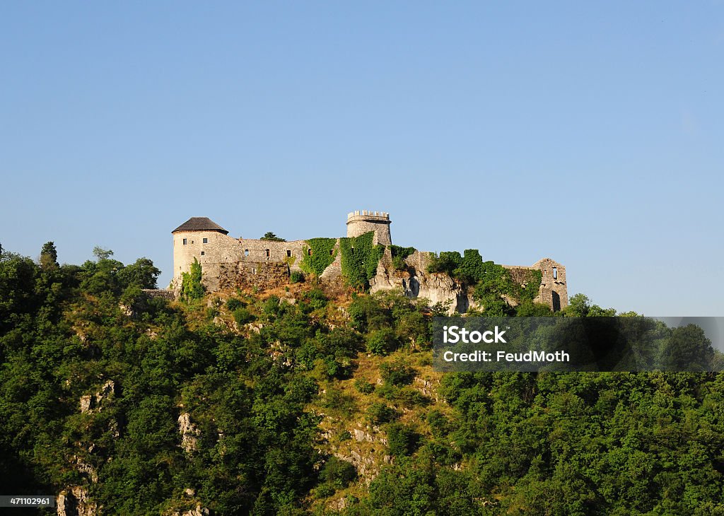 Antico castello su una collina sotto il cielo azzurro. Croazia - Foto stock royalty-free di Albero