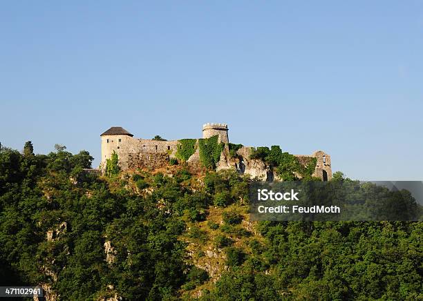 Antico Castello Su Una Collina Sotto Il Cielo Azzurro Croazia - Fotografie stock e altre immagini di Albero