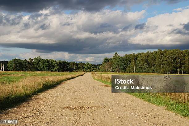 Estrada - Fotografias de stock e mais imagens de Ajardinado - Ajardinado, Ao Ar Livre, Beleza