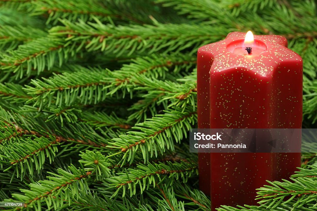 Vela em galhos de árvore de pinho - Foto de stock de Advento royalty-free