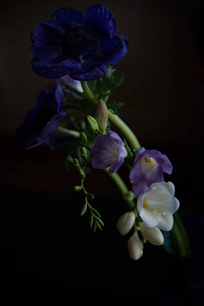 istock Bouquet of blue flowers on a black background 471104830