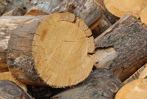 istock piece of wood 471105461