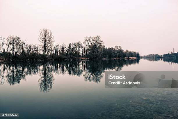 Piccola Foresta Riflette Nel Fiume Dacqua - Fotografie stock e altre immagini di 2015 - 2015, Acqua, Albero