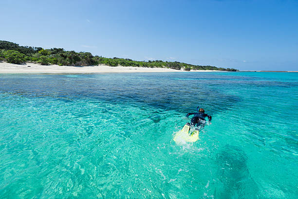 istock Man snorkeling in tropical lagoon paradise by white sand beach 471106036