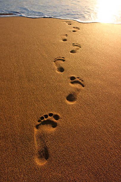 huellas - footprint sand sea beach fotografías e imágenes de stock