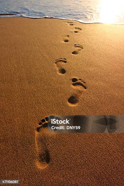 Footprints Stock Photo - Download Image Now - Footprint, Sand, Beach