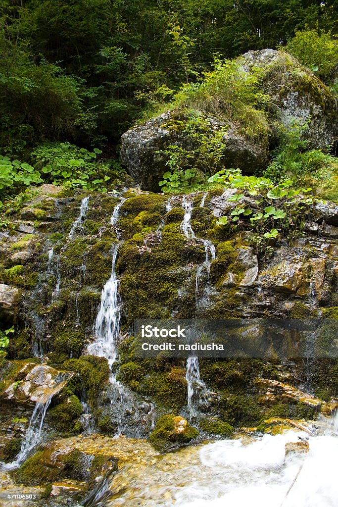 "Screaming waterfall" , Busteni, Romania Ancient Stock Photo