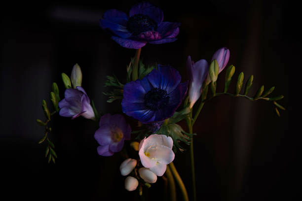 Bouquet of blue flowers
