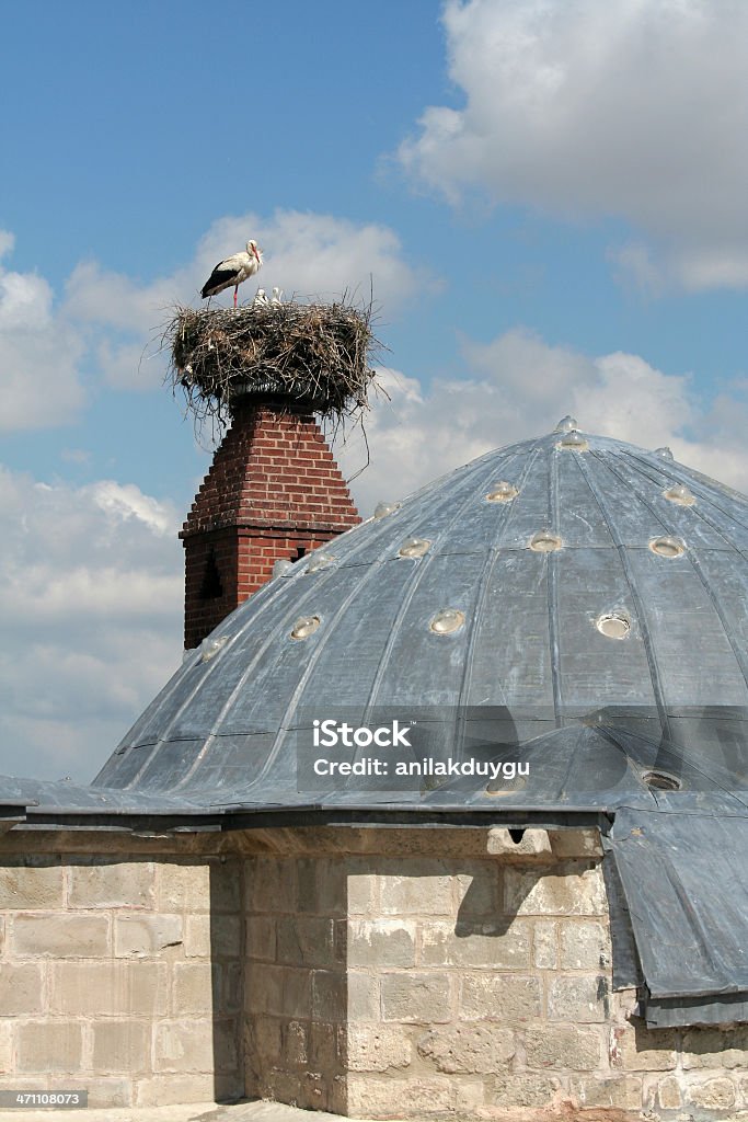 Cigüeña Nest - Foto de stock de Ala de animal libre de derechos