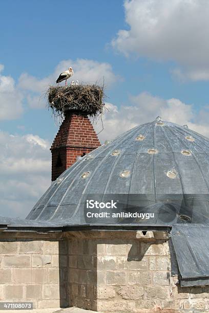 Cigüeña Nest Foto de stock y más banco de imágenes de Ala de animal - Ala de animal, Animal, Animal hembra