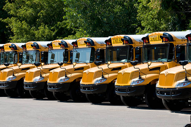 istock Yellow school bus fleet in order 471108207