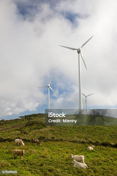 대체 에너지 소 및 풍력 터빈 녹색 메도 0명에 대한 스톡 사진 및 기타 이미지 - 0명, 2000-2009 년, 3가지 개체