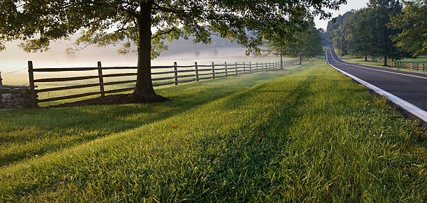 туманный утро в стране дорога - dry landscape panoramic grass стоковые фото и изображения