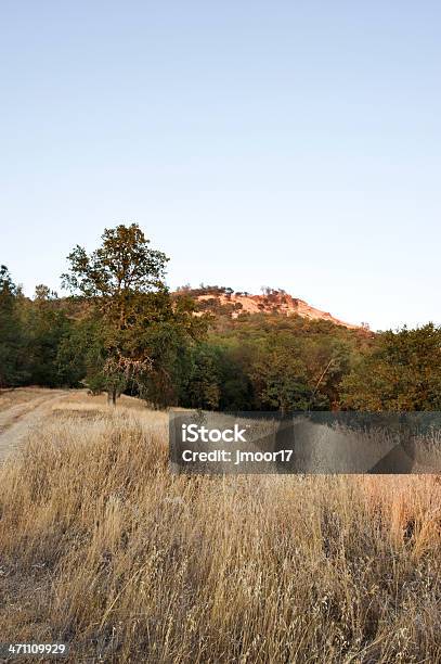 丘の夏 - アメリカ合衆国のストックフォトや画像を多数ご用意 - アメリカ合衆国, カラー画像, カリフォルニア州