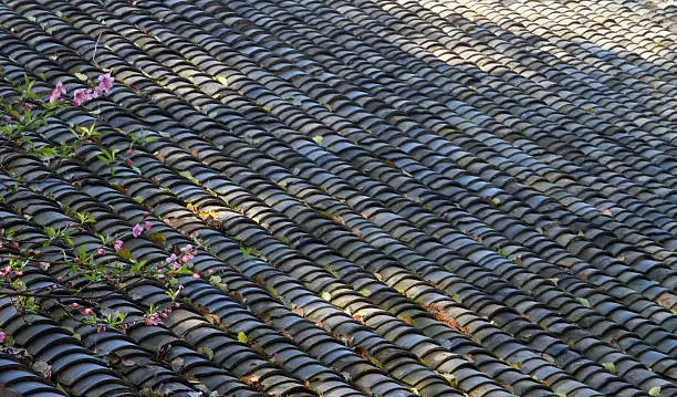 The old gray  pottery clay rooftiles on a Chinese roof.Peach blossom in spring.