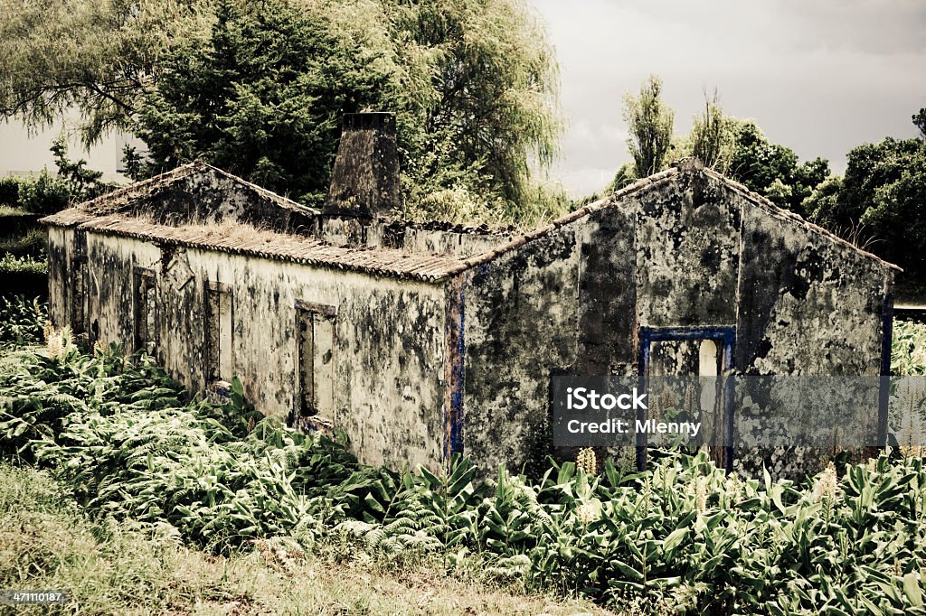 Maison en contrebas de lave de Ilha Nova éruption. - Photo de A l'abandon libre de droits