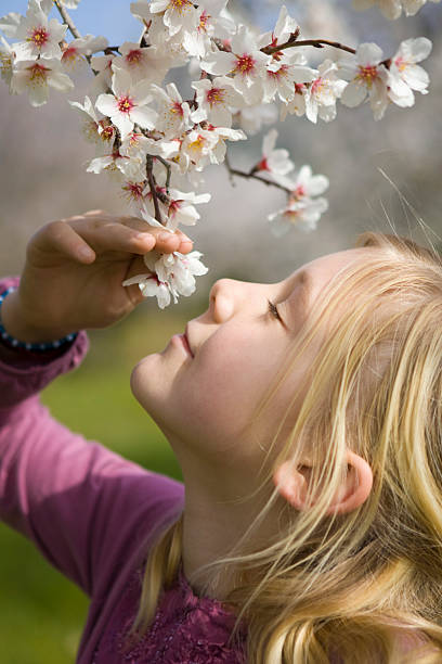 little girl enjoying almond flowers,  more photos of spring and easter