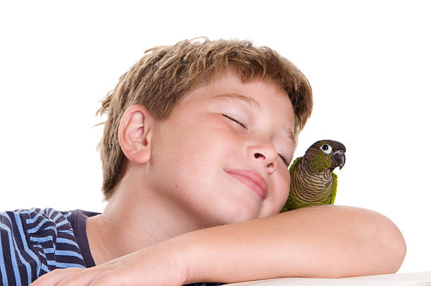 istock Boy Who Loves His Pet Bird 471110951