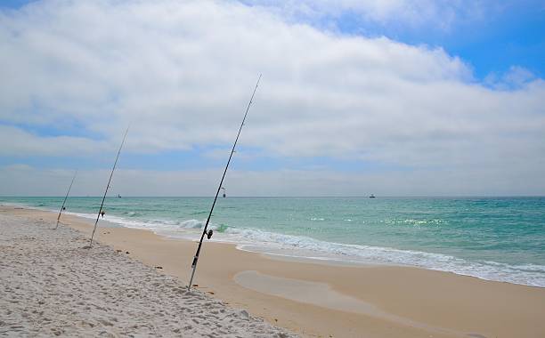 Fishing in the Gulf of Mexico on Florida Beaches stock photo