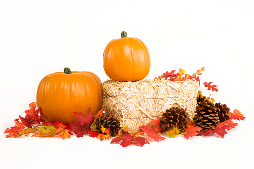 Two pumpkins on a hay bale with pine cones and leaves on white. Copy space. CLICK FOR SIMILAR IMAGES AND LINK TO LIGHTBOX WITH SEASONAL IMAGES.
