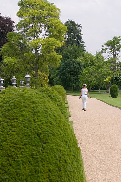 passeggiata nel parco - mansion uk gravel summer foto e immagini stock