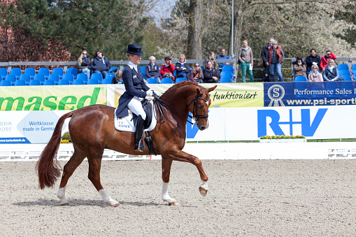Hagen a.T.W., Germany - April 23, 2015: Helen Langehanenberg Horses & Dreams 2015 with Filaro during the Nuernberger Burgpokal opening, reached 2nd pace