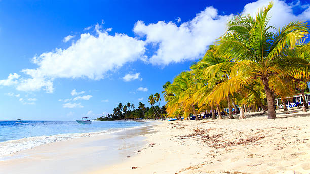 istock Caribbean beach in Dominican Republic 471113318