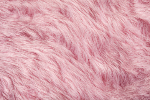 Photography of a pink fur.