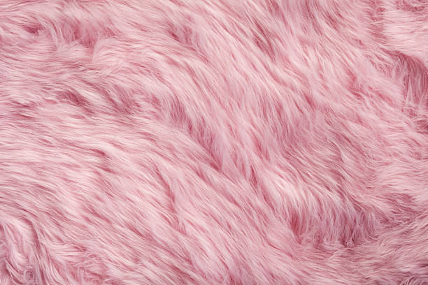 Pink fur background stock photo