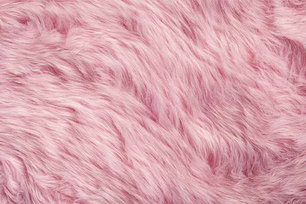 Photo of Pink fur background